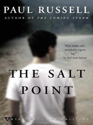 cover image of The Salt Point